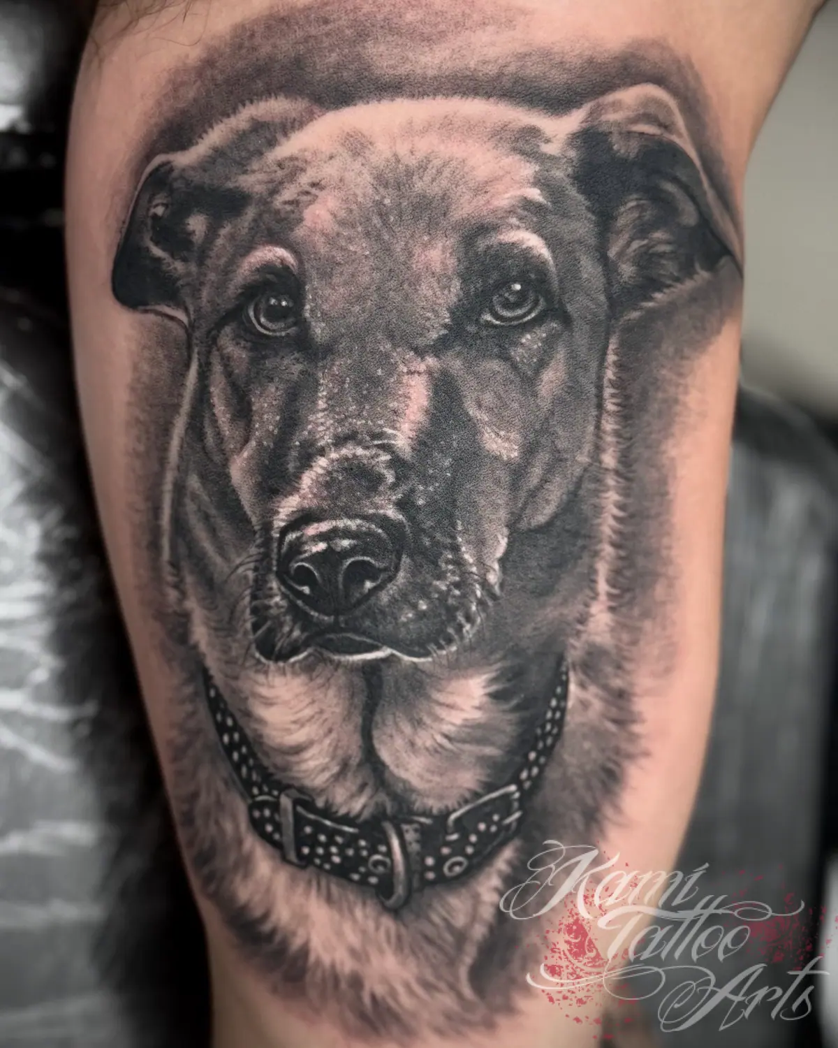 Realism Blackwork Greywash Dog Tattoo Portrait Memorial Tattoo